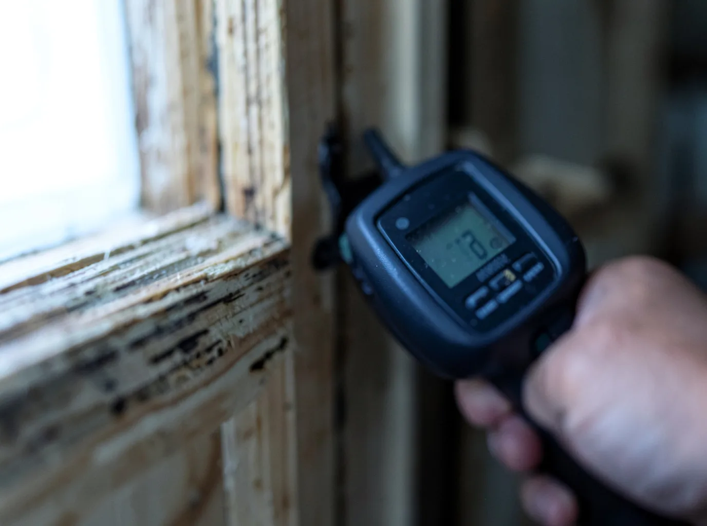 Moisture Inspection And Documentation in Connellsville, PA